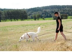 Non-stop Dogwear Non Stop Dogwear Line Harnas 5.0 Feloranje -Sport Verkoop 8ba2346e10659ffa81d3fab3b1fe852c45e8cae4