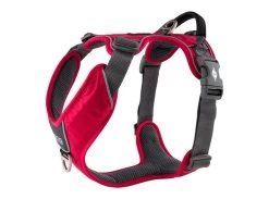 Dog Copenhagen Hondentuig Comfort Walk Pro Rood (2020)