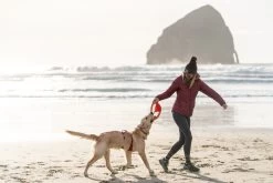 Ruffwear Pacific Ring Rood -Sport Verkoop 8f43bdcbc4182d51303204e3753dd132fb595d2a