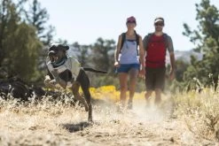 Ruffwear Swamp Cooler Core Buik Koelvest 10 Ruffwear Swamp Cooler Core Buik Koelvest -Sport Verkoop 91a6a877f88e047958d16a329cb566f10b9904f6