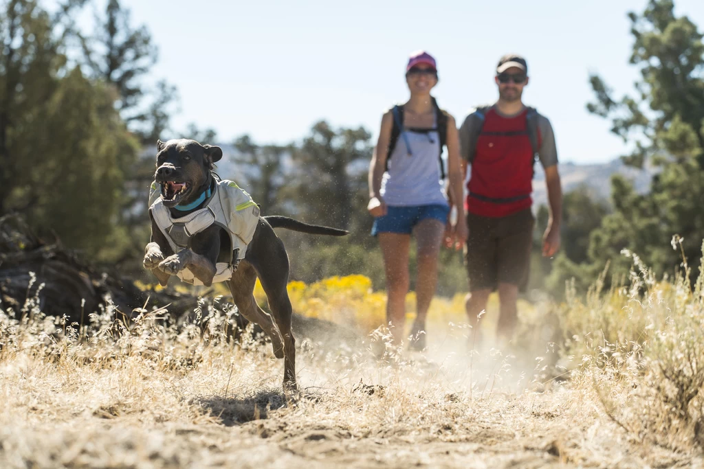 Ruffwear Swamp Cooler Core Buik Koelvest 6 Ruffwear Swamp Cooler Core Buik Koelvest - Afbeelding 5