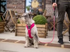 Dog Copenhagen Urban Rope Leash Roze -Sport Verkoop 975dae9a93dda18af16a943c87bc3642f1d467e8