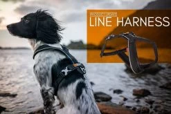 Non-stop Dogwear Non Stop Dogwear Line Harnas Zwart -Sport Verkoop 9aab5262425278f575e93486021d4e629a169801