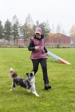 Pinewood Abisko/Brenton Broek Dames Zwart (400) 11 Pinewood Abisko/Brenton Broek Dames Zwart (400) -Sport Verkoop 9c2f72b4a0a6eca44a31aee4eec894aba9f7290b