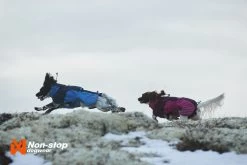 Non-stop Dogwear Non Stop Dogwear Glacier Jacket Blauw 11 Non-stop Dogwear Non Stop Dogwear Glacier Jacket Blauw -Sport Verkoop a05cea67e412a34dc8630a95fb6adac05d64f991