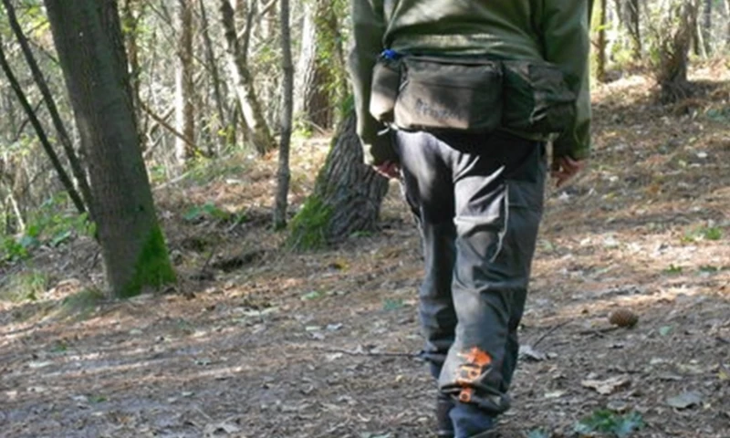 Pinewood Ranger Heuptas GROOT Mosgroen (135) 5 Pinewood Ranger Heuptas GROOT Mosgroen (135) - Afbeelding 3