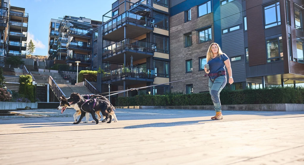 Non-stop Dogwear Non Stop Dogwear Trekking Heupgordel 2.0 Zwart 7 Non-stop Dogwear Non Stop Dogwear Trekking Heupgordel 2.0 Zwart - Afbeelding 5