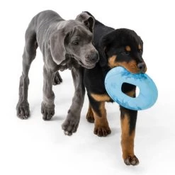 West Paw Seaflex Sailz -Sport Verkoop a773c34154c6b8d6bddb18ef17659f4ca422e74c