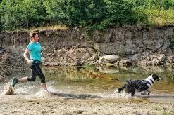 Non-stop Dogwear Non Stop Dogwear Bungee Leash Oranje -Sport Verkoop a7b1df0367eca3c1de16577b3b42c94412d5c6b8 1