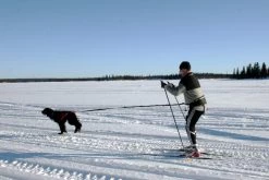 Baggen.se Softbelt Heupgordel RACE -Sport Verkoop a7ce7c8807a62f7e9d7aac732f77b101976f7f76