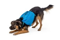 Ruffwear Approach Pack Rugzak Blue Dusk 2.0 -Sport Verkoop a8c9a80d92bf4c9acc26494a0698898042da549a