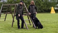 Pinewood Hondensport Broek Heren EXTREME (winter) Olijfgroen / Moccabruin Op=op 7 Pinewood Hondensport Broek Heren EXTREME (winter) Olijfgroen / Moccabruin Op=op -Sport Verkoop acb204320ead42d13962860fd2e12c76400f59ad