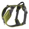 Dog Copenhagen Hondentuig Comfort Walk Pro Groen (2020) 1 Dog Copenhagen Hondentuig Comfort Walk Pro Groen (2020) -Sport Verkoop ad20d9003306af826e3d4bae394b07da3c4c027f