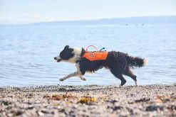 Non-stop Dogwear Non Stop Protector Life Jacket Zwemvest -Sport Verkoop af6525686552adf398a124963e9e0e51a16c8a72