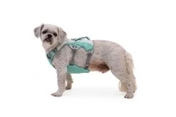 Ruffwear Swamp Cooler Cooling Dog Harnas Sage Green -Sport Verkoop b2aab7a1ff923bb82c55b83a9b791056c4afc531