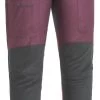 Pinewood Broek Caribou TC Dames Plum / Antraciet (582) Normaal En Ook In Korte Lengtemaat -Sport Verkoop b30ebc89b66e3f9f5037e3379ff5d586fff8c189
