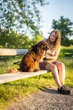 Pinewood Abisko Shorts Korte Wandelbroek Dames Marron Rose (597) -Sport Verkoop b50c6e141d90e2ba500c169c9115f91180b40a57