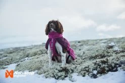 Non-stop Dogwear Non Stop Dogwear Glacier Jacket Paars 10 Non-stop Dogwear Non Stop Dogwear Glacier Jacket Paars -Sport Verkoop b5c39587918627a97c4857791ca58dfcc3b1317f