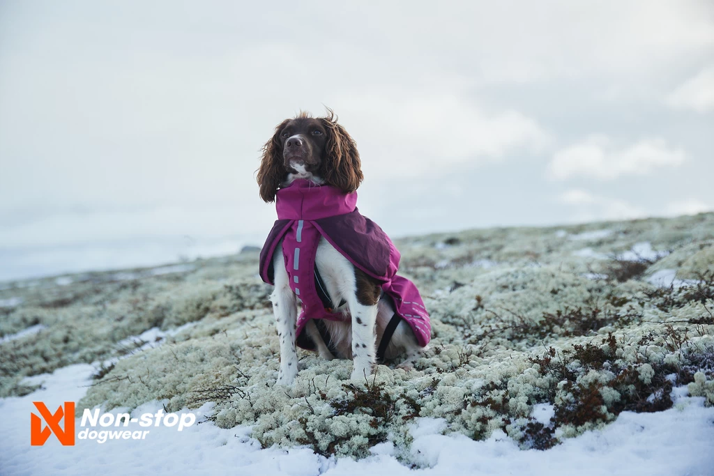 Non-stop Dogwear Non Stop Dogwear Glacier Jacket Paars 5 Non-stop Dogwear Non Stop Dogwear Glacier Jacket Paars - Afbeelding 3