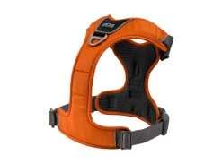 Dog Copenhagen Hondentuig Comfort Walk Pro Oranje (2020) -Sport Verkoop b94157b9465c58da092d18e70f73400ad3b3ffa2