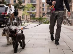 Dog Copenhagen Pouch Organizer Leash Bag Roze -Sport Verkoop ba1c51741339ec04a0310030edd36700f227cc6c 6