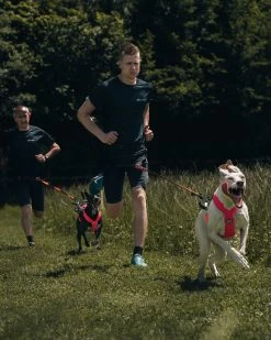 Non-stop Dogwear Non Stop Dogwear Freemotion Harnas 5.0 Roze/Grijs -Sport Verkoop bb63e6b1a01c13ae909e63e183ab7ff57f3e25dd