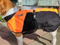 Non-stop Dogwear Non Stop Dogwear Beta Pro Raincoat Fel Oranje -Sport Verkoop bbcf4848ae67bed5520d897d8925aaf0e74754a9
