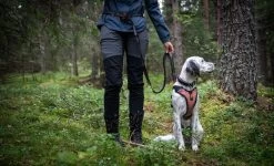 Non-stop Dogwear Non Stop Dogwear Touring Bungee Verstelbaar 15 Non-stop Dogwear Non Stop Dogwear Touring Bungee Verstelbaar -Sport Verkoop be6902867d5a68d0da53cd6cee9afaa2f11cb287