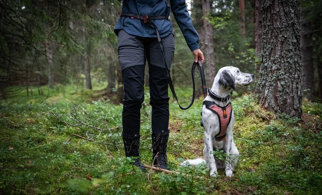 Non-stop Dogwear Non Stop Dogwear Touring Bungee Verstelbaar 9 Non-stop Dogwear Non Stop Dogwear Touring Bungee Verstelbaar - Afbeelding 7