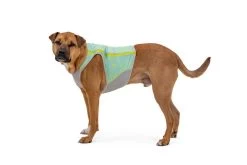 Ruffwear Swamp Cooler Zip Cooling Dog Vest Blue Mist -Sport Verkoop c112a3ab259b1388614163335714216fefa09df3
