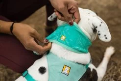 Ruffwear Swamp Cooler Cooling Neck Gaiter Aurora Teal/ Heliotrope Purple -Sport Verkoop c344205df02ce417e186c75e8410f9d00d0243e1