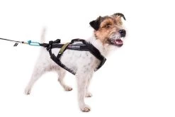 Non-stop Dogwear Non Stop Dogwear Freemotion Harnas ZWART -Sport Verkoop c51d242132745c7992bbb03d4679b1e8374d48f1