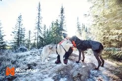 Non-stop Dogwear Non Stop Dogwear Line Harnas 5.0 Grip Zwart -Sport Verkoop c90720433b1c545e5b5fc805f48ca64b243fa334