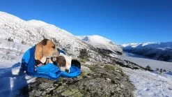 Non-stop Dogwear Non Stop Dogwear Ly Sleepingbag Slaapmat En Slaapzak 16 Non-stop Dogwear Non Stop Dogwear Ly Sleepingbag Slaapmat En Slaapzak -Sport Verkoop cb5b9e04225b77c1541d7f945e5bbcd8773580e7