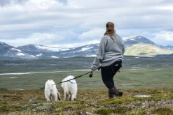 Baggen.se Softbelt Heupgordel RACE -Sport Verkoop cbaf897d75c6d303ca8563ed55b5cbf88471a6a2