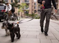 Dog Copenhagen Urban Trail Leash Hondenriem Roze (2020) -Sport Verkoop cd754d1b488b3962887a770abeb82de11c860c07