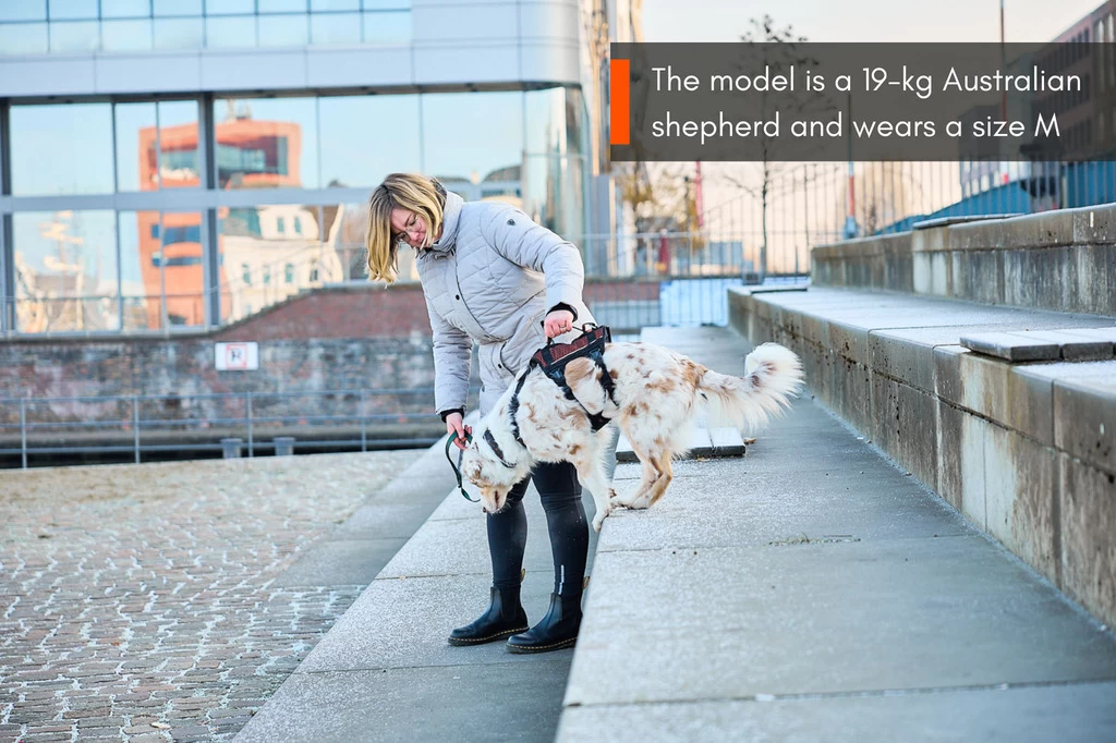 Non-stop Dogwear Non Stop Dogwear Rock Harnas LONG 8 Non-stop Dogwear Non Stop Dogwear Rock Harnas LONG - Afbeelding 6