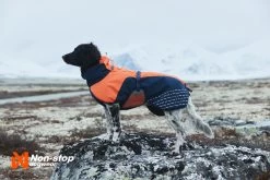 Non-stop Dogwear Non Stop Dogwear Glacier Jacket Oranje/Blauw -Sport Verkoop d07f6ad379c86ae76f9febfb26709574a114b4e6