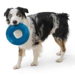 West Paw Seaflex Sailz -Sport Verkoop d1dca366fcba1a9d4826f73cbb1c30457c6c5217