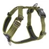 Dog Copenhagen Hondentuig Comfort Walk Air Groen (2020) -Sport Verkoop d52380a94baaf37cd865e716395ed6969393b96f