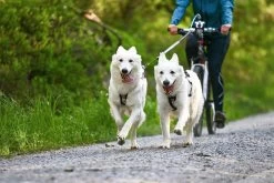 Non-stop Dogwear Non Stop Dogwear Bike Antenne Met Klickfix 12 Non-stop Dogwear Non Stop Dogwear Bike Antenne Met Klickfix -Sport Verkoop d6c3527b625a8afe7da1546b35105e79d5d52056