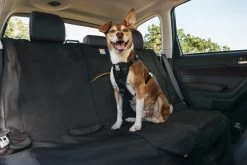 Kurgo Wander Hammock Auto Achterbank Kleed -Sport Verkoop e294441cd26e1e0768eaa993b5659817070dc8fa