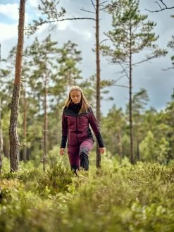 Pinewood Finnveden Hybrid Dames Jas Plum / Donker Antraciet (582) 21 Pinewood Finnveden Hybrid Dames Jas Plum / Donker Antraciet (582) -Sport Verkoop e661c81ff2b4b8d42d237995d59884ed08e80ed0