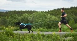 Non-stop Dogwear Non Stop Dogwear Freemotion Harnas 5.0 Blauw/Grijs -Sport Verkoop e72e16a8f876f8ca094fdd72f3c9857d947504f7