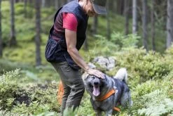 Pinewood Hondensport Vest Dames Zwart / Antraciet (407) 2.0 -Sport Verkoop e8ac03aaecfba87169468a1a40164131044f1907