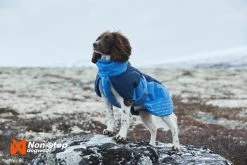 Non-stop Dogwear Non Stop Dogwear Glacier Jacket Blauw 13 Non-stop Dogwear Non Stop Dogwear Glacier Jacket Blauw -Sport Verkoop eaaff9507c1f7fbdaa2310f69df7945262bfc5bb