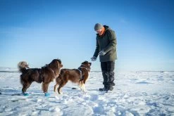 Pinewood Varnamo Gevoerde Heren Winterjas Donker Groen (103) -Sport Verkoop eba7abfe385c5c91390d7a1a752dfa17337119e6