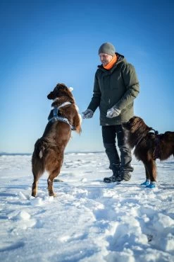 Pinewood Finnveden Hybrid Extreme Broek Heren Zwart (407) Normaal En Ook In Korte Lengtemaat -Sport Verkoop ecf53441fe75473ff3a7749d04d49253532aeca2