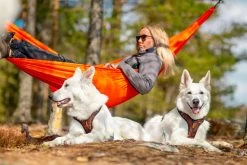 Non-stop Dogwear Non Stop Dogwear Rock Harnas -Sport Verkoop ee8b2640705f7374564d727603c27e04c7076a5b