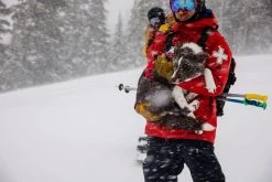 Ruffwear Web Master Harnas ESCAPE PROOF Red Sumac -Sport Verkoop eed575c00965c348be4381d8835b4fdff4e67169